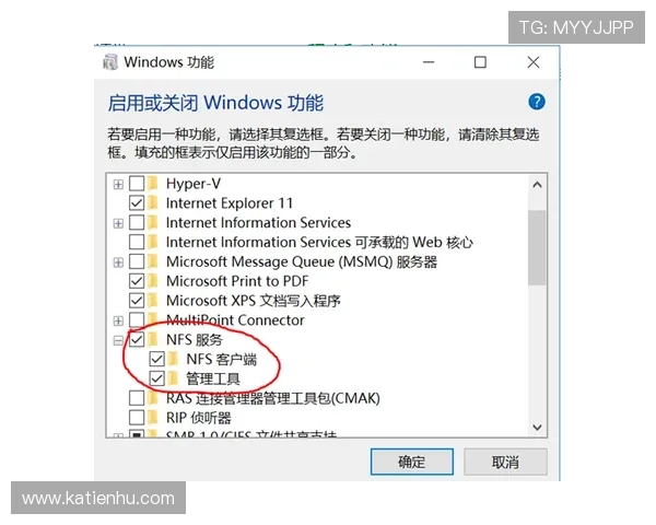 K8电游体会：从新手到高手的成长路径与实用经验分享